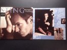 Sting - Falling Mercury (Vinyl LP A&M 540 486 1 UK Import)
