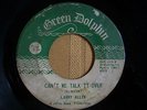 RARE NORTHERN SOUL  LARRY ALLEN  cant we talk it over  GREEN DOLPHIN  RARE PA.