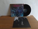 AMON DÜÜL PHALLUS DEI 1969 MINT WITH RARE INSERT