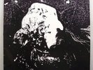 (o) Carcass - Symphonies Of Sickness