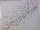ITA LIBRARY: NOE'S JAZZ ENSEMBLE 