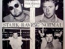THE BLOOD - Stark Raving Normal - '80 UK press hardcore punk - 7