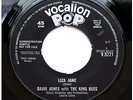 David Bowie - Liza Jane - Genuine/Historic UK 1964 *DEMO* Of His1st Ever Disc