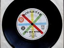 THE CHOIR ITS COLD OUTSIDE AUSSIE SAMPLE 45 US GARAGE POWER POP RASPBERRIES
