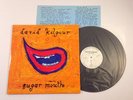 DAVID KILGOUR - Sugar Mouth - Vinyl LP (The Clean, Flying Nun)