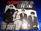 BUZZCOCKS MINT 