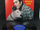 ELVIS PRESLEY A DOG'S LIFE RARE GERMAN AUDIFON LABEL MINT UNPLAYED