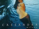 AUDIOPHILE CASSANDRA WILSON New Moon Daughter Orig 1st Press Blue Note 2LP