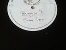 SUPER RARE  PENNYWISE  PA  DUBPLATE -OLDSKOOL HARDCORE