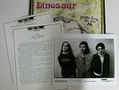 DINOSAUR JR. Bug You're Living All Over Me 1987 SST LP + PRESS KIT J. Mascias