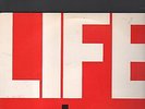 LIFE SENTENCE - no experience necessary LP