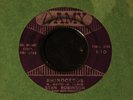 Stan Robinson-Rhinoceros/Can She Give You Fever-Popcorn 45 on Amy-HEAR