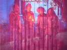 OCTOPUS SYNG - Reverberating Garden Number 7 - Vinyl (limited gatefold vinyl LP)