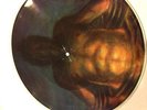 TOOL SECARO SUMMABILITY' AENIMA PICTURE DISC