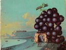 MOBY GRAPE wow LP VG+ CS 9613 Vinyl 1968 Record CBS US 360 Lbl 1B/1B