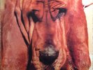 Ty Segall - Goodbye Bread Autographed Vinyl LP