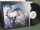 Burning From the Inside Bauhaus 1983 lp A&M peter murphy tones on tail w/lyric 