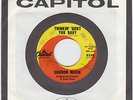 Rare Brian Wilson Surf Comp. 45 Sharon Marie 