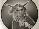 NunSlaughter Hells Unholy Fire Picture Disc LP Vinyl Record