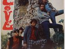 LOVE 1st LP ARTHUR LEE GARAGE PSYCH FOLK First pressing gold labels MONO
