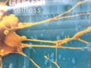 Godflesh Selfless Original Uk Vinyl With Photo Insert