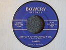 Ravens Are You A Boy Or Are You A Girl Bowery 502 M- Garage 1960's