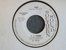 T.J. Timber Rags / Bo Weevil Southern Sound 104 Promo M- R&B Rocker