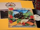 LIGABUE LP LAMBRUSCO...1°STAMPA ORIGINALE 1991 NM CON LIBRETTO TOP COLLECTORS