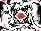 Red Hot Chili Peppers - BLOOD,SUGAR,SEX,MAGIK