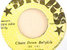 Selford Walker - Chant Down Babylon / Music From the South Side (Stars)