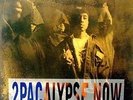 2Pacalypse Now Interscope Mint Vinyl LP