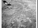 Nicolas Jaar - Space Is Only Noise Vinyl Record LP
