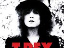 T REX THE SLIDER  LP VINYL 2014 DELUXE & DOWNLOAD  NEW SEALED
