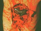 Dismember - indecent and obscene