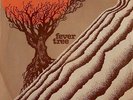 FEVER TREE - RETURN, 7