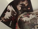 STRANGLERS 'The Raven' 2000 limited edition picture disc [LETV001PD]