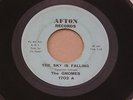 GNOMES SKY IS FALLING AFTON orig US G45 GARAGE FRAT BEAT 7
