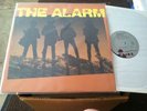 The Alarm Lp Debute Record Autographed Signed All Members Near Mint IRS Records