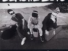 Beastie Boys - Check Your Head