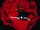 Adore - 2 DISC SET - Smashing Pumpkins (2014, Vinyl New)