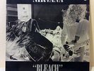 Nirvana BLEACH 12