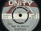 Reggae Boys - What You Gonna Do / Headley Bennett - Hot Cof UK Escort 7