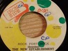IRON SIDE - THE NEW ESTABLISHMENT - ROCK FORT ROCK - RARE ROOTS 7