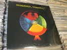 SUDDENLY , TAMMY  LP S.T SEALED ORIGINAL PRIVATE POWER POP PUNK GRUNGE INDIE
