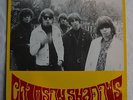 CRIMSON SHADOWS Hangin out LP