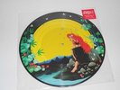 Picture LP: Anyone's Daughter, Limited of 500 copies, NEU (A9/3)