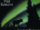 Into Cold Darkness - Vital Remains (2014, Vinyl NEW)