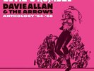DAVIE ALLAN & THE ARROWS**DEVIL'S RUMBLE:ANTHOLOGY 1964-1968**2-LP SET