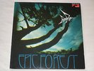 Rare Bird - Epic Forest, 2 LP's (Vinyl), neuwertig / NM