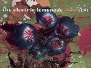 ELECTRIC LEMONADE ACID TEST 3 - ICARUS / ELMER GANTRY